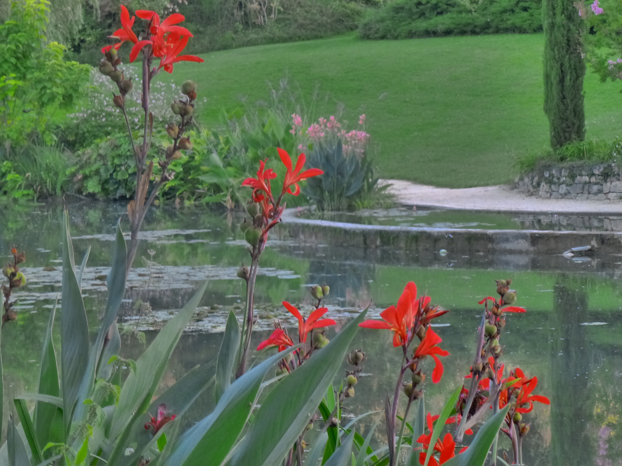 Jardin des nénuphars Latour Marliac_photo F.EVRARD_La Bella Rocoma