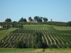 Tourisme vert 5